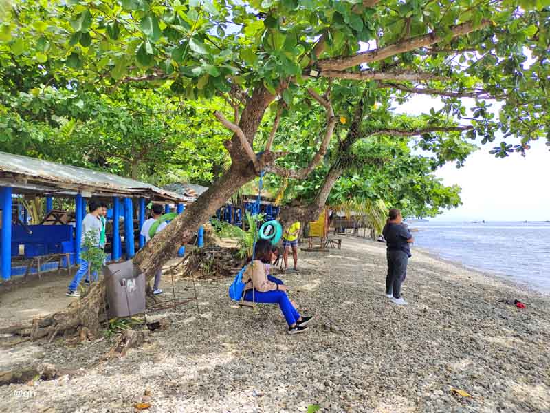 Sitting on a swing under the talisay tree in Alegree beach, Culaba.