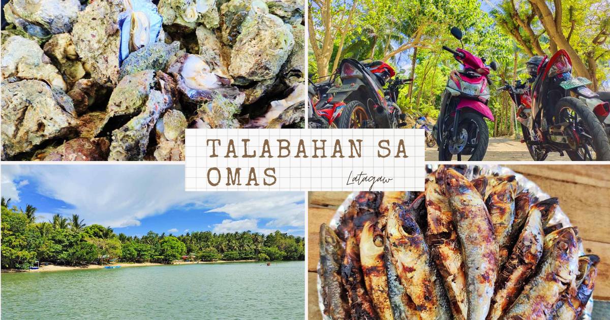 Talabahan sa Omas: Beach & Oyster Combo in Biliran