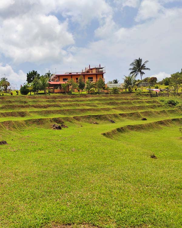A nice cascading terrain with the function hall at a distance.