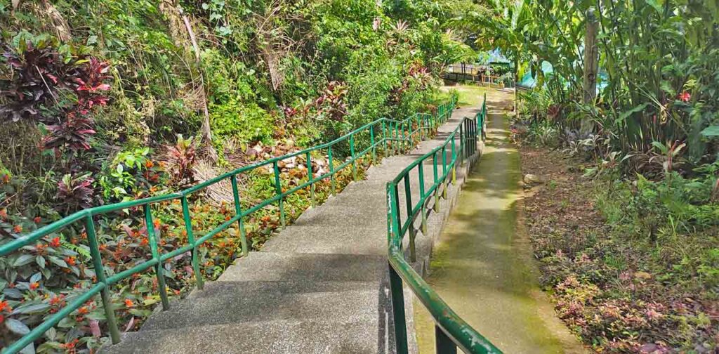 Concrete stairs with handrails heading to the falls.
