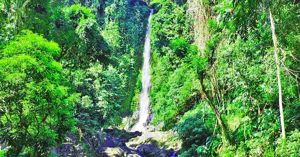 Catching the Towering Drips of Casiawan Falls in Biliran